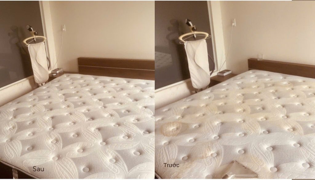 Dịch vụ giặt ghế nệm biên hòa